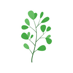 Obraz premium leaf illustration element
