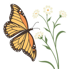 A vibrant butterfly perched on a small white flower, wings spread Illustrator Artwork
