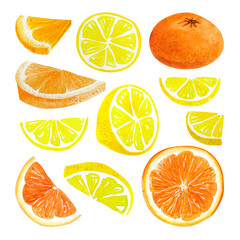 Watercolor citrus lemon and orange slice set isolated