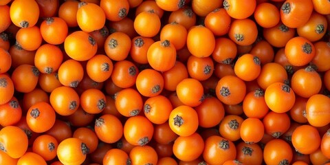 A detailed macro image showcasing vivid sea buckthorn berries fills the entire frame, creating a panoramic wallpaper background that captures their vibrant colors.