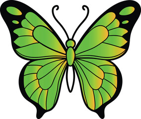 Butterfly design art and illustrator eps