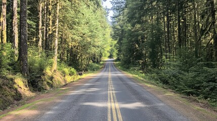 Scenic tree lined road winding through a lush forest showcasing natural beauty and tranquility in a peaceful outdoor setting.