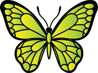 Butterfly design art and illustrator eps