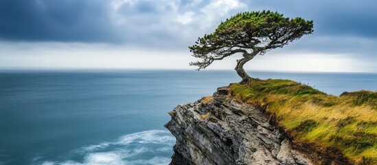 Fototapeta premium Coastal cliffside tree against a dramatic ocean backdrop under cloudy skies showcasing nature's resilience and beauty