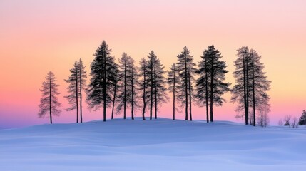 Fototapeta premium Winter sunset with silhouetted evergreen trees against a pastel sky over a snowy landscape creating a serene nature scene.