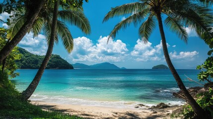 Fototapeta premium Serene tropical beach scene with palm trees framing a turquoise sea and distant hills under a bright blue sky