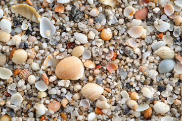 Obraz premium Coarse, gritty sand with hints of small shells