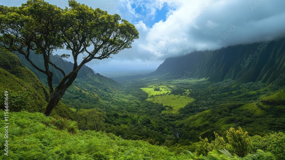Poster lush mountain valley with trees under foggy clouds showcasing vibrant greenery and dramatic scenery 