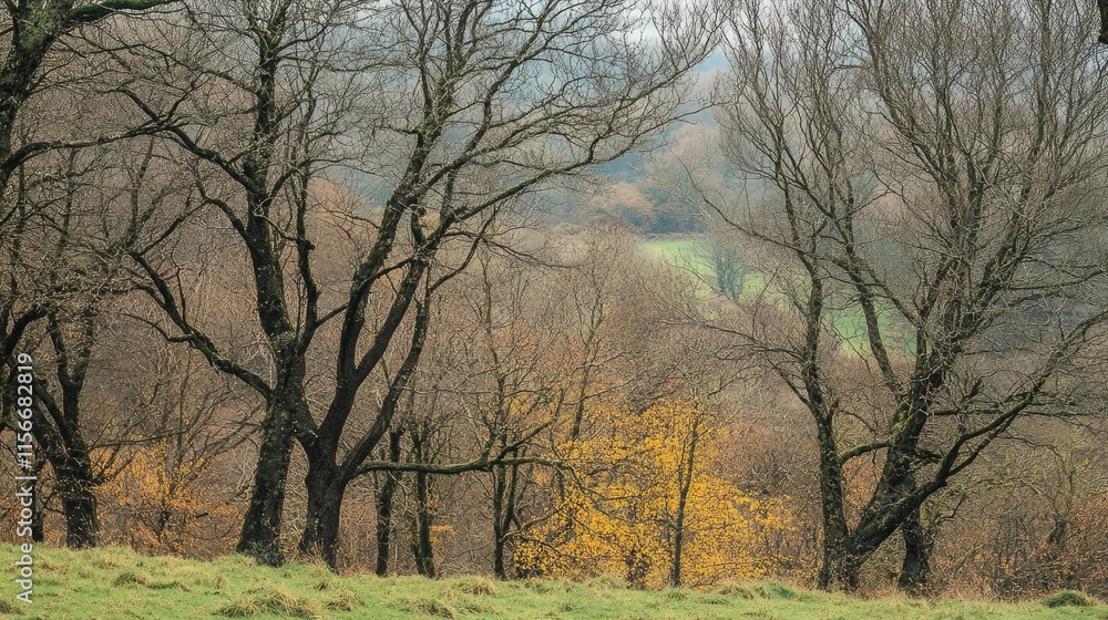 Poster serene countryside landscape featuring bare trees and subtle autumn colors in a misty environment.