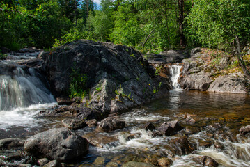 Fototapeta premium Norwegian mountain river with fast flowing clear and sparkling water and a waterfall that forms white foam on rocks surrounded by green coniferous trees. Sunny summer day.