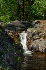 Obraz premium Norwegian mountain river with fast flowing clear and sparkling water and a waterfall that forms white foam on rocks surrounded by green coniferous trees. Sunny summer day.