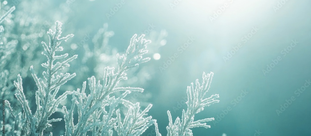 Poster frosted green grass with sunlight glimmering in the background creating a serene winter nature scene