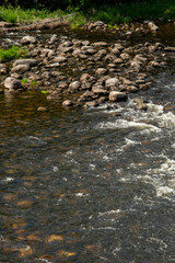 Norwegian fishing river Hallingdalselva with green forest in the background against blue sky