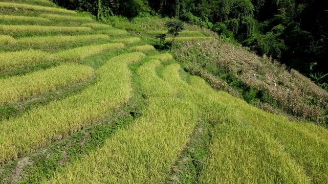 Northern Thailand Mountain Life