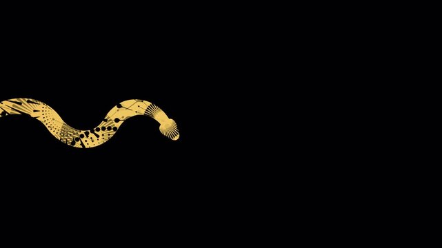 Animation of golden snake firework patterns, flying along the frame, space for 2025 New Year greetings, Chinese New Year celebration. golden crawling snake on transparent background. Seamless Loop. 
