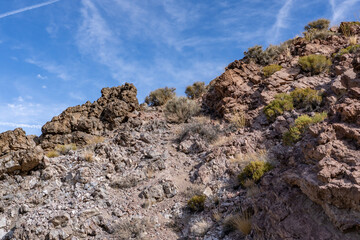 Older Volcanics, Rhyolite and rhyodacite volcanic rocks ( TV ); Greenwater Volcanics; Dante’s View
Road,  Death Valley National Park, California. Mojave Desert / Basin and Range Province.	
