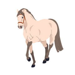 Thoroughbred horse performing Spanish walk gait. Stallion, animal in perspective view with raised leg, movement pose. Equine action, possture. Flat vector illustration isolated on white background.