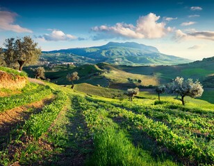 Beautiful landscape of Alpe di siusi - Seiser alm in Dolomite, Italy in the morning.