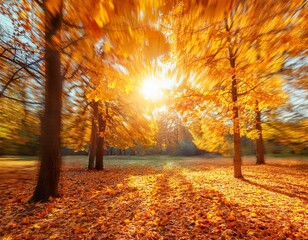 Fototapeta premium Autumn forest background. Vibrant color tree, red orange foliage in fall park. Nature change Yellow leaves in october season Sun up in blue heart shape sky Sunny day weather, bright light banner frame