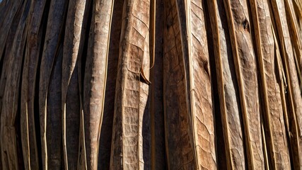 Sunlit Mexican Fan Palm Trunk Showcasing Natural Bark Details