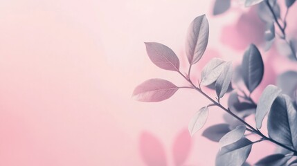 Fototapeta premium Soft Monochromatic Banner Header Template with copy space