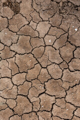 Cracked soil caused by climate change and dryness in Doñana National Park, Spain