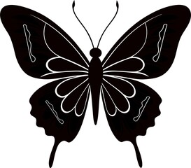 butterfly illustration