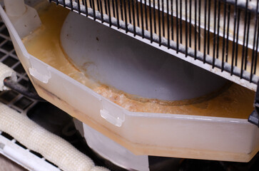 Mold in water in refrigerator drain box