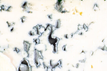 French green mold cheese close up