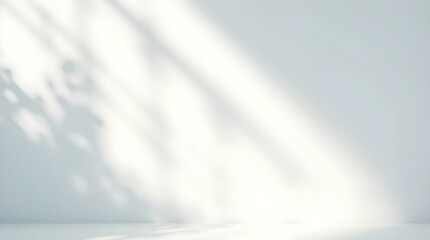 Blurred white and light gray abstract background with soft light and shadow gradients.