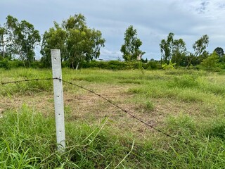 Barbed wire fence post in a grassy field surrounded by trees under a cloudy sky. Rural landscape concept emphasizing nature and simplicity