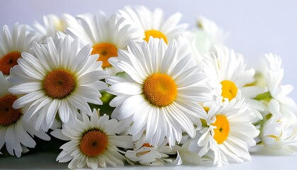 Fototapeta premium a cluster of pristine white daisies, elegant white orchids with intricate details, and pristine white tulips against a gentle pink background, embodying natural beauty