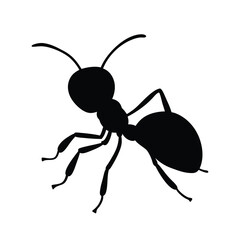 A ant vector silhouette illustration