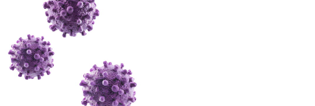 Covid, purple respiratory virus molecule, on white background, in the air. Png clipart banner 3d seasonal flu, rotavirus, pandemic and epidemic formation, advertising and news - Powered by Adobe