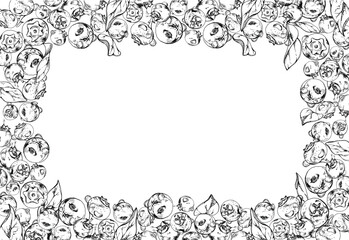 Blueberry blackberry, hand drawn in ink vector, group of scattered ripe forest berry with drops and plant leaves. Border frame isolated illustration, for restaurant, cafe menu, wedding, farmers market