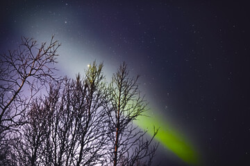 Aurora borealis, polar lights with Milky Way stars.