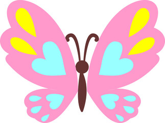 Colorful beautiful  butterfly 