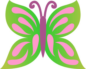 Colorful beautiful  butterfly 