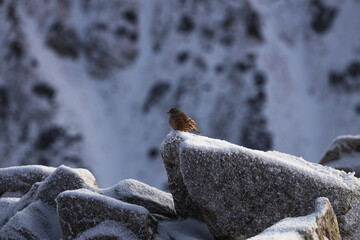 Winter in the high mountains of the Slovak Tatras during sunrise