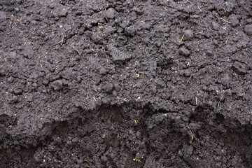 Black earth texture, humus, fertile soil. Background.