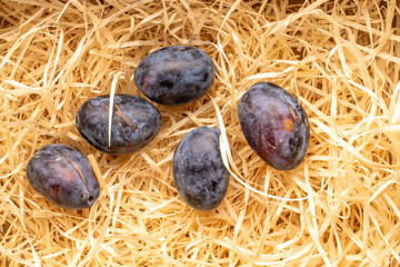 Black ripe plums on wooden shavings, close-up, top view.