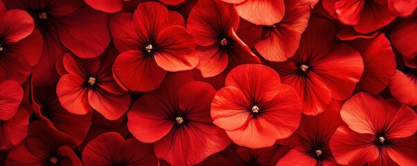 Obraz premium vibrant red flower pattern