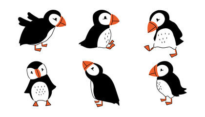 A set of cute black and white puffins. A collection of arctic birds in different poses.