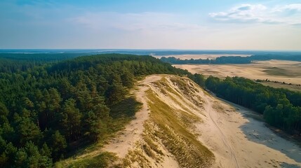 Fototapeta premium Stunning Aerial Photo: Rolling Sand Dunes Gracefully Meet Lush Forest on a Sunny Day. AI Generated