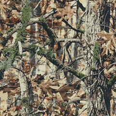 Mossy Oak Tree Forest Hunting Camouflage Seamless Camo Pattern Texture