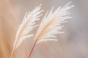 Dew-covered grass blades in a close-up view