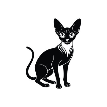 cornish-rex.eps