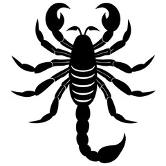  scorpion silhouette vector art illustration