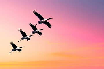 Obraz premium A stunning view of a flock of birds in silhouette, flying over a serene sunset-lit landscape.