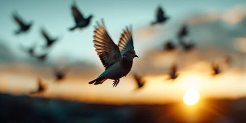 Pigeons in mid-flight against a city backdrop at sunset, creating a dramatic urban scene.